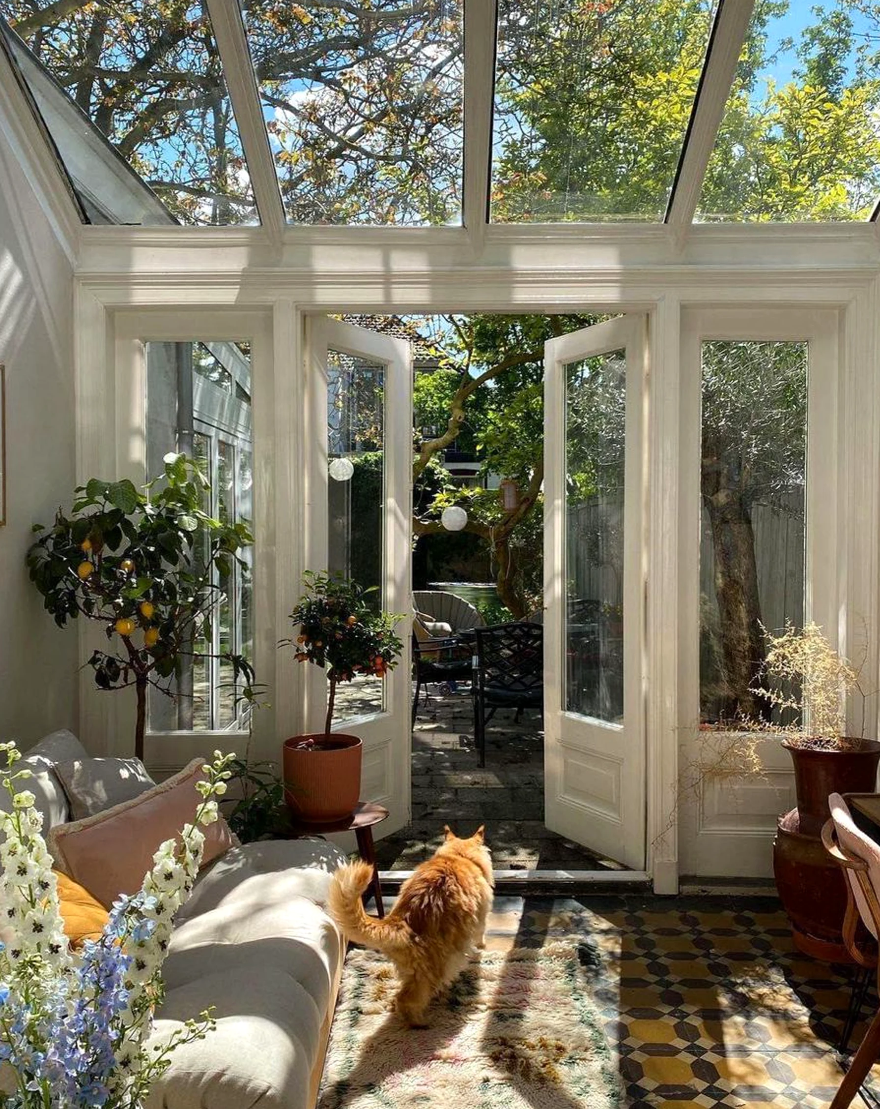 Crisp greenhouse corner adds freshness across the wall, giving the decor a finish that feels simple yet expressive.