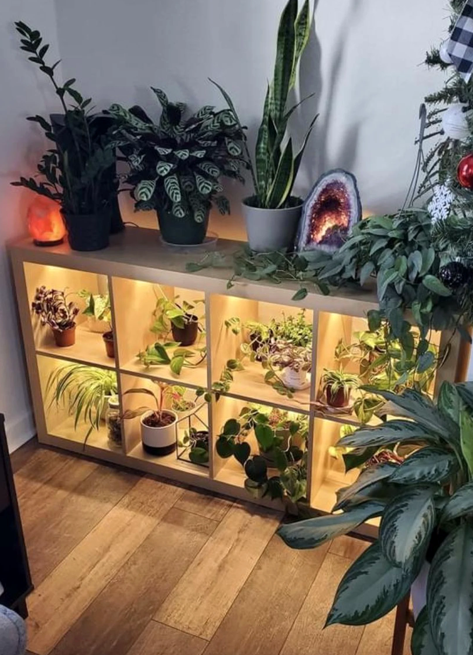 Polished greenhouse corner adds freshness across the arrangement, giving the decor a finish that feels quietly finished.