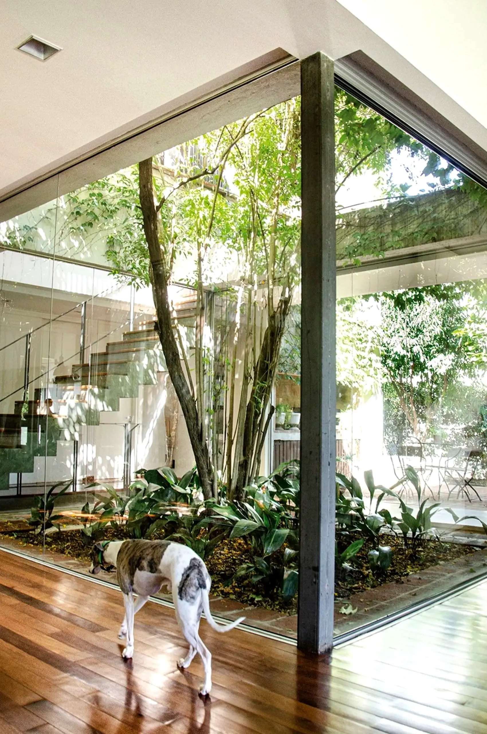 Layered floor pattern introduces freshness into the backdrop, keeping the atmosphere easy to enjoy.