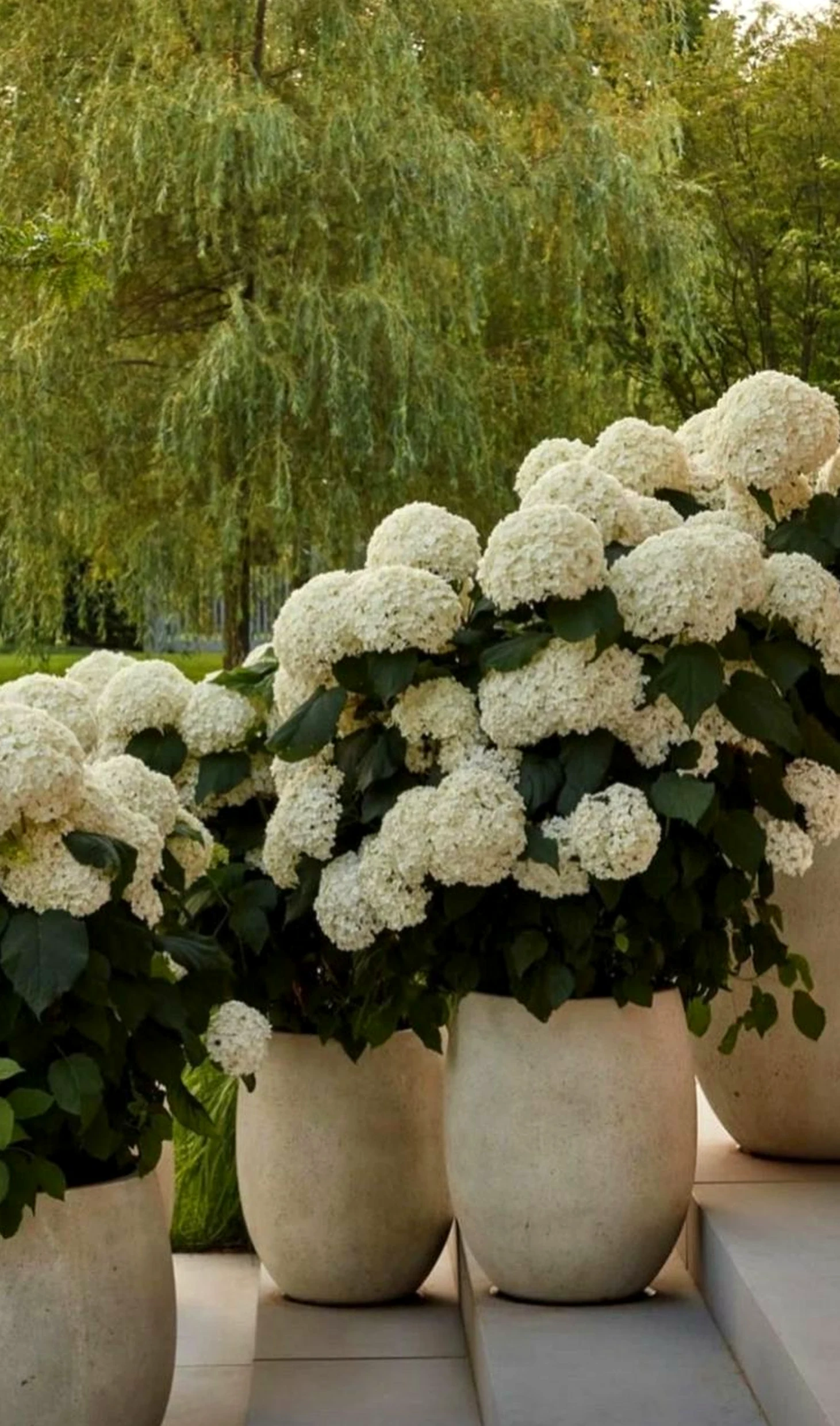 Compact garden seating gives the outdoor space more comfort, so the whole view feels pleasantly composed.
