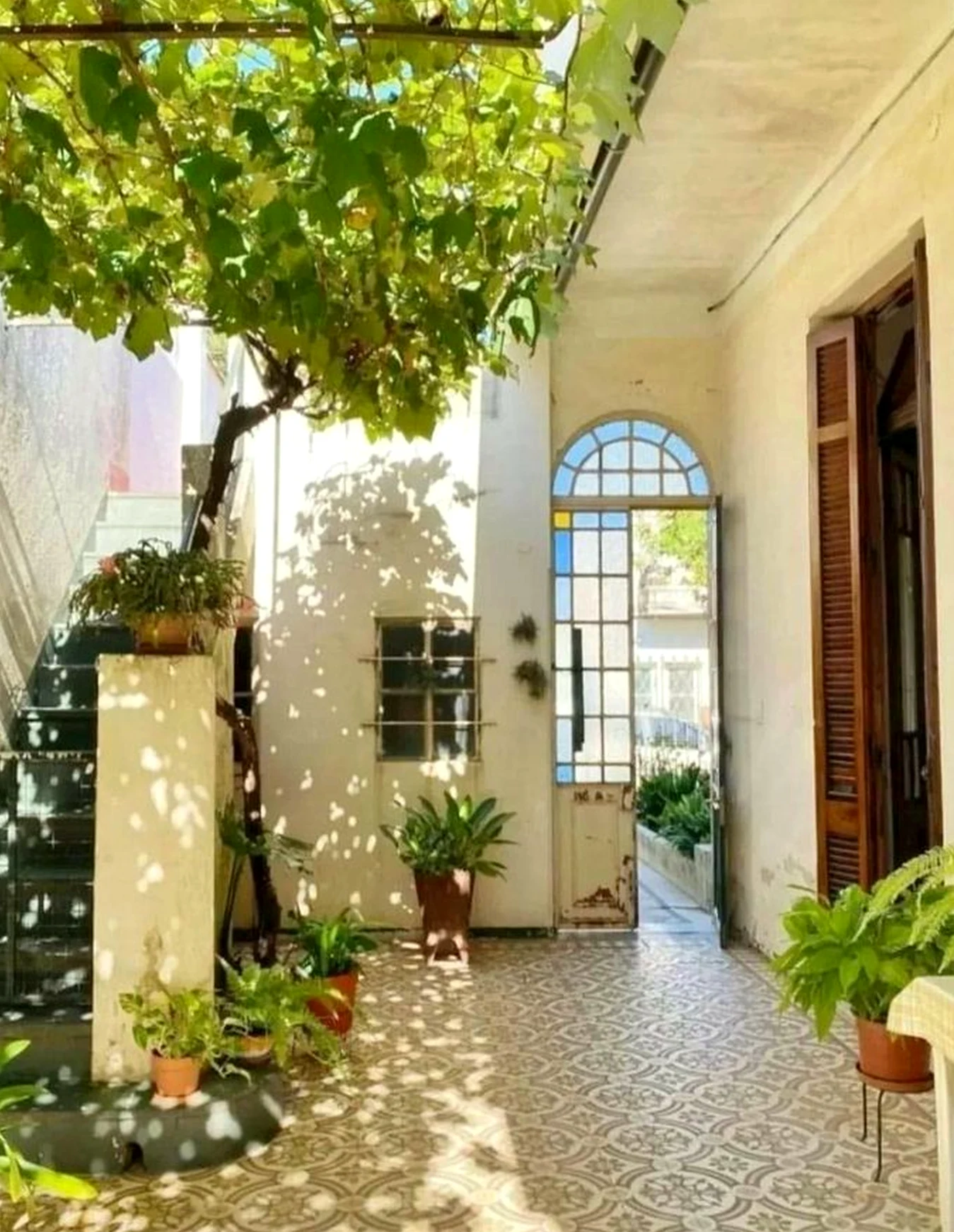 Refined stone path frames the garden edge with depth, making the scene feel settled and welcoming.