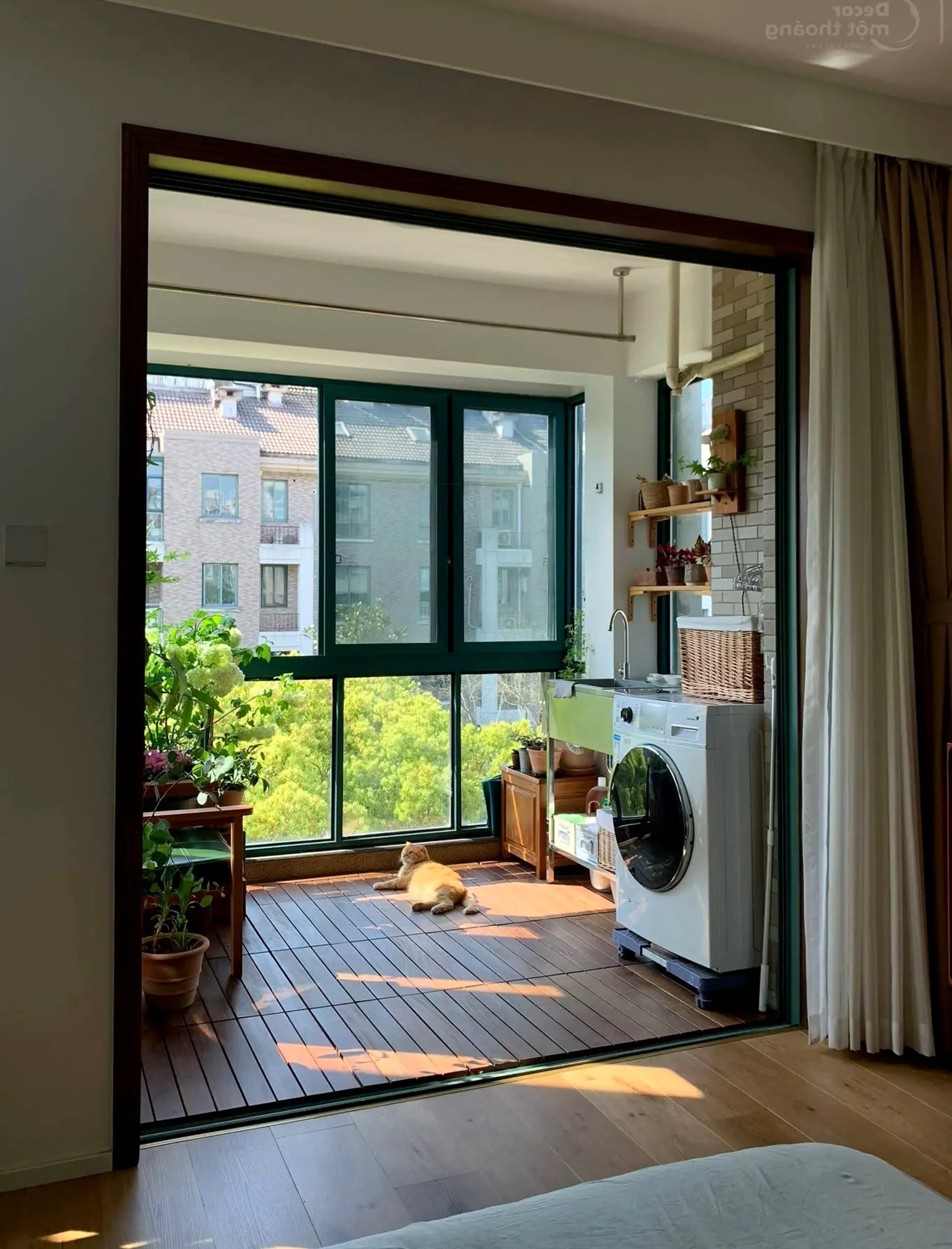 Balanced courtyard view frames the garden edge with shape, making the scene feel open and lived-in.