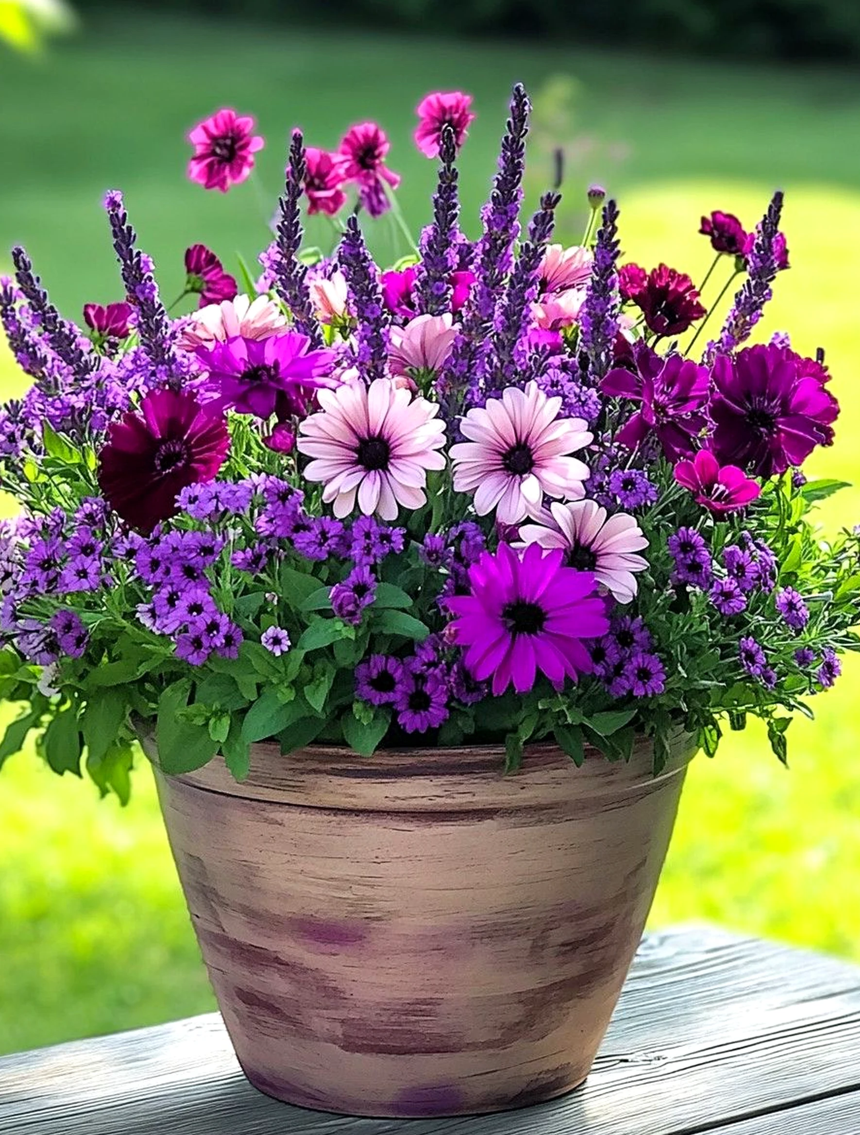 Warm garden border brings order to the wall, creating a mood that feels quietly finished.